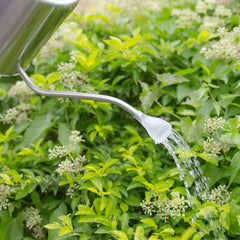 KIMZDA with spray nozzle attached demonstrating gentle shower for seedlings