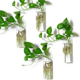 Kingbuy front view of four square glass vases showing clean display benefit