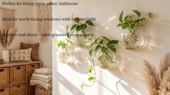 Kingbuy globe with pothos cutting demonstrating visible roots and decorative display