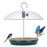 Kingsyard front view of hanging feeder showing full tray and clear dome, invites birds