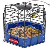 Kingsyard front view of platform feeder showing caged protection and accessibility