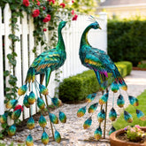 Kircust peacock front view showing elegant silhouette and garden focal point