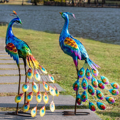 Kircust peacock front view showing vibrant colors and garden charm