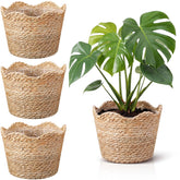 Kritkin front view of four seagrass planters showcasing coordinated decor benefit