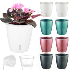 KvyusFlourish front view of 8-pack 5-inch pots showing neat arrangement and compact benefit