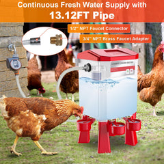 Kweetle top view of four drinking cups allowing multiple birds to drink