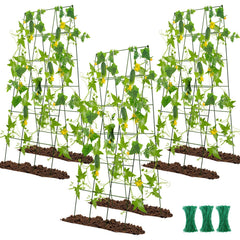 Kyrieval front view of three trellises showing compact pack and alignment benefit
