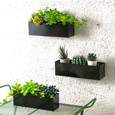 LáLáGreen front view of three black metal planters showing modern look and space saving benefit