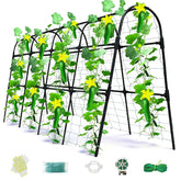Laodier front view of U-shape trellis showing sturdy arch and space saving