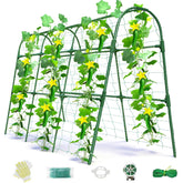 Laodier front view arched trellis showing stable dual-row support and space savings