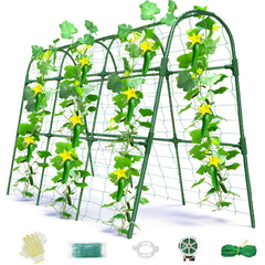 Laodier front view arched trellis showing stable dual-row support and space savings