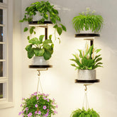 LASZOLA front view mounted with plants showing stylish space-saving display
