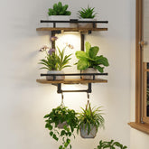 LASZOLA front view of brown floating plant shelf showing tidy display and space savings