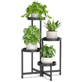LASZOLA front view showing four-tier rack for compact plant display and organization