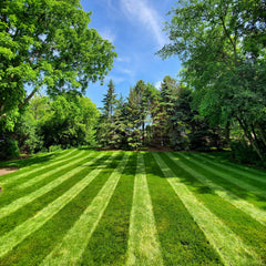 Lawn Stryper side view on Honda mower demonstrating secure fit