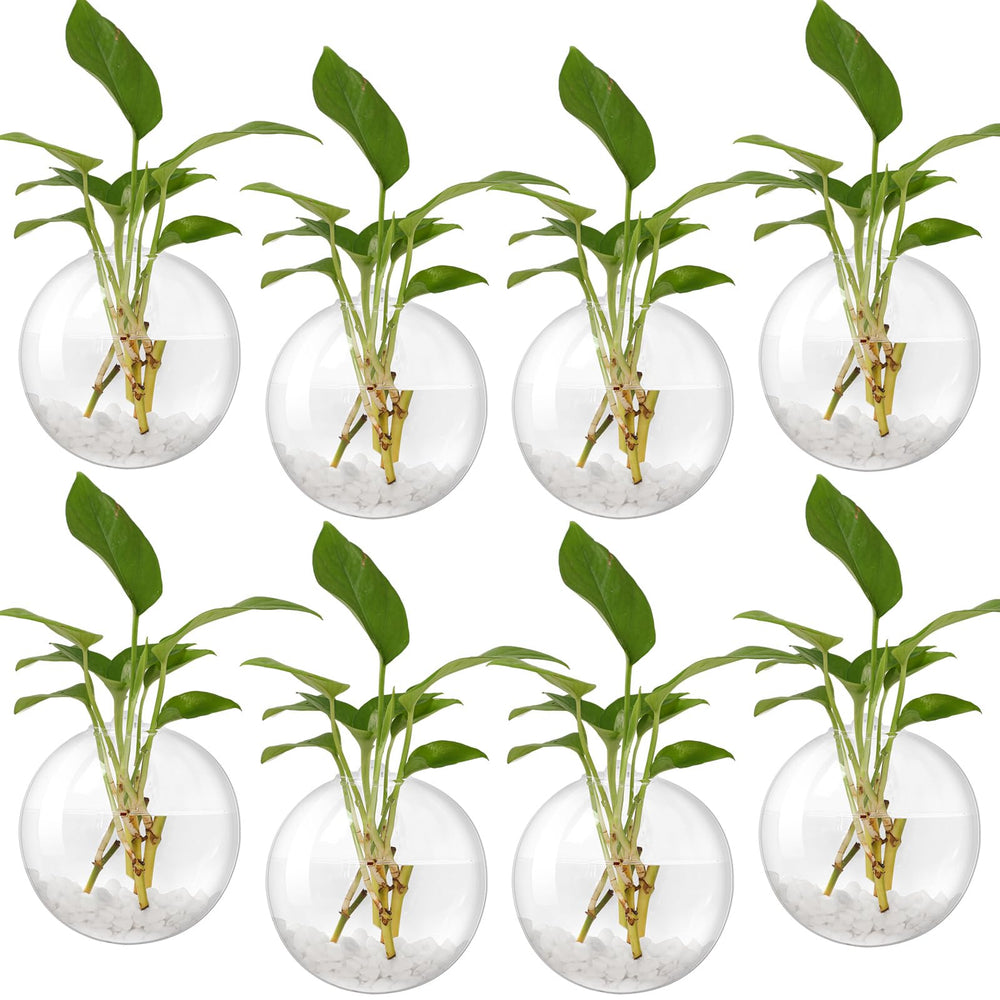 Layhit front view of eight clear wall planters showing set and packaging benefit display