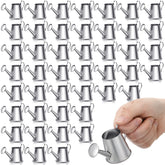 Layhit mini watering can front view showing silver finish and compact charm