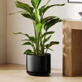 LE TAUCI front view of black 12-inch ceramic pot showing elegant shape and benefit of style