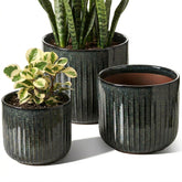 LE TAUCI front view set of three planters enhancing decor and cohesion