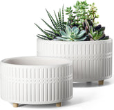LE TAUCI front view of matte white succulent pots showing clean silhouette and balance