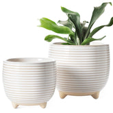 LE TAUCI front view white ceramic pot showcasing clean modern design and versatility