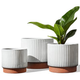 LE TAUCI front view of three white reactive-glaze pots showing clean look and balance