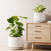 LE TAUCI front view of both white ceramic pots showing modern aesthetic and sturdy build