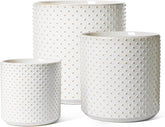 LE TAUCI front view of three glossy arctic-white pots showing style and cohesion