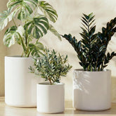 LE TAUCI front view of three satin white ceramic pots shows coordinated set benefit