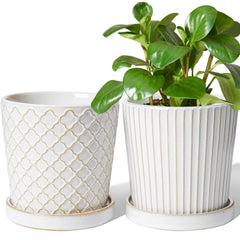 LE TAUCI front view white glaze showing elegant planter shape and clean lines