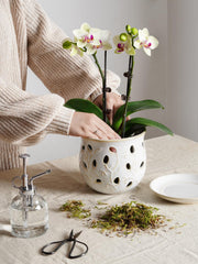 LE TAUCI top opening view highlighting roomy 6.5-inch interior for healthier root space