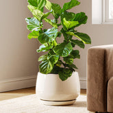 LE TAUCI front view of beige ceramic planter showing elegant silhouette and stability