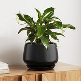 LE TAUCI front view of matte black 10-inch ceramic planter showing sleek silhouette and elegance