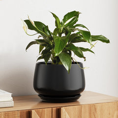 LE TAUCI front view of matte black 10-inch ceramic planter showing sleek silhouette and elegance