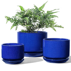 LE TAUCI front view of trio sapphire blue pots, stylish display benefit