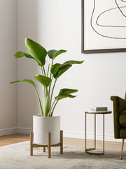 LE TAUCI unglazed interior detail showing breathable surface for healthier roots benefit