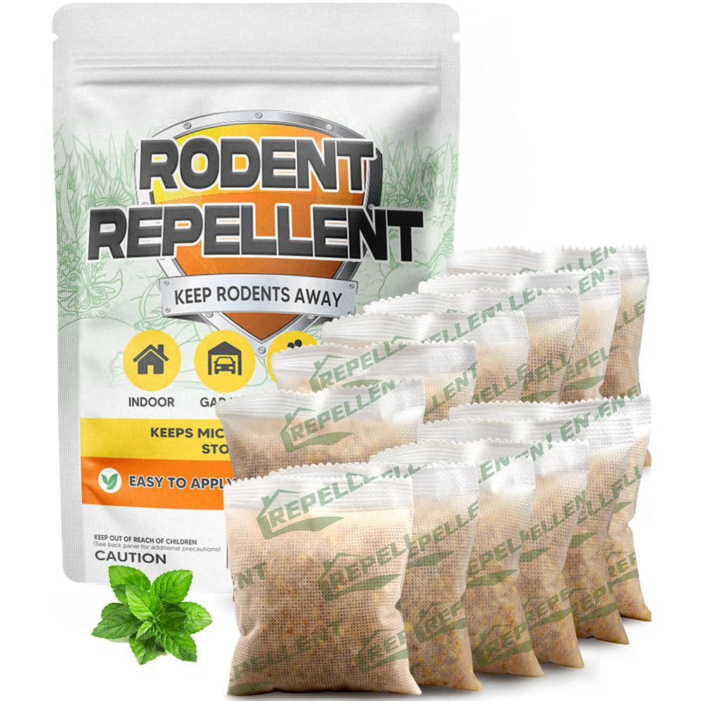 LEBMP front packaging showing 12-pack, clear protection for home areas