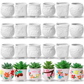Leitee front view of 18-pack ready-to-paint mini pots showing value