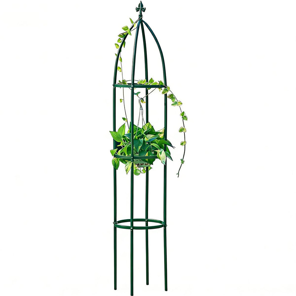 LeJoy Garden front view of 6.3 ft obelisk trellis showing elegant shape and height benefit