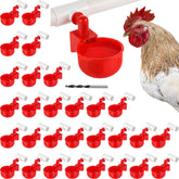 LemonRoad front packaging showing 30 red cups and tees, communicates kit completeness
