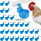 LemonRoad front view of 30 water cups showing kit components and quantity benefit