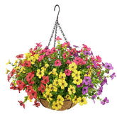 Lesrant front view of hanging basket showing colorful silk flowers and natural coconut look for instant decor
