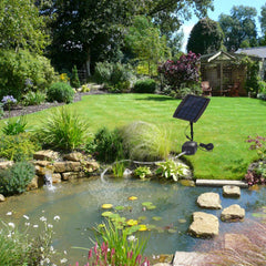 Lewisia compact aerator pump close-up highlighting durable housing and easy hose ports