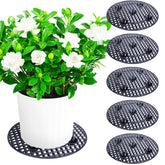 LFUTARI front view of six 15-inch plant risers showing protection benefit