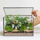 libproqia front view terrarium showcasing modern black frame and clear glass, stylish decor