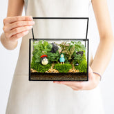 libproqia front view terrarium showcasing modern geometric display and clarity
