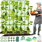 LifeisLuck front view trellis installed showing vertical support and increased yield