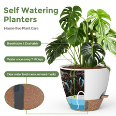 LifeNest planter base revealing mesh drainage and removable tray for healthy roots and easy cleaning