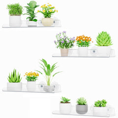Lifewit front view of four-pack window shelves showing compact design and clear visibility