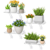 Lifewit front view of shelf pack showing wide platform and clean design benefits display